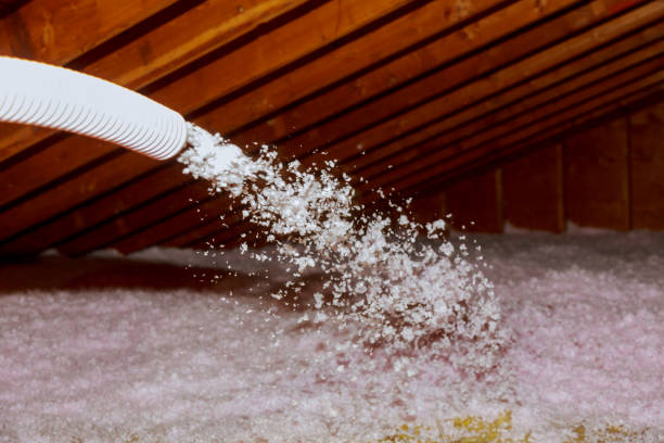 Best Soundproof Insulation Installation  in St Helen, MI