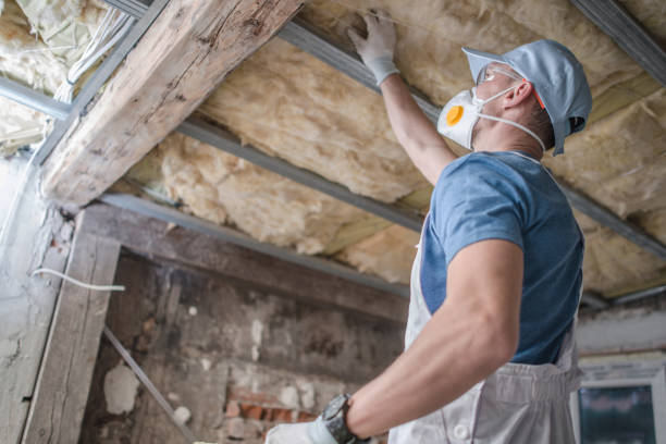 Best Commercial Insulation Contractor  in St Helen, MI