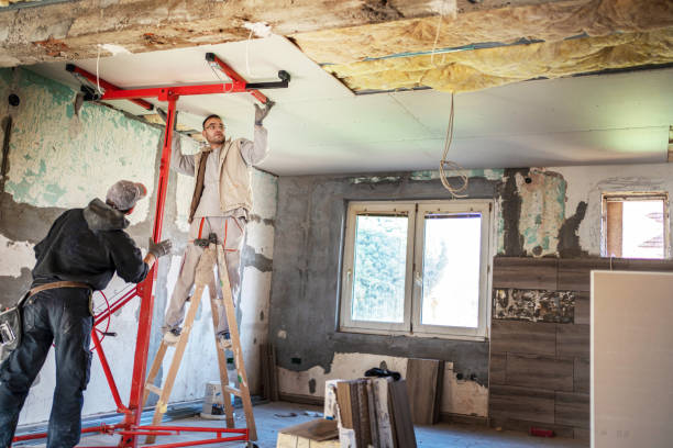Best Professional Insulation Contractor  in St Helen, MI