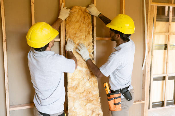 Best Attic Insulation Installation  in St Helen, MI