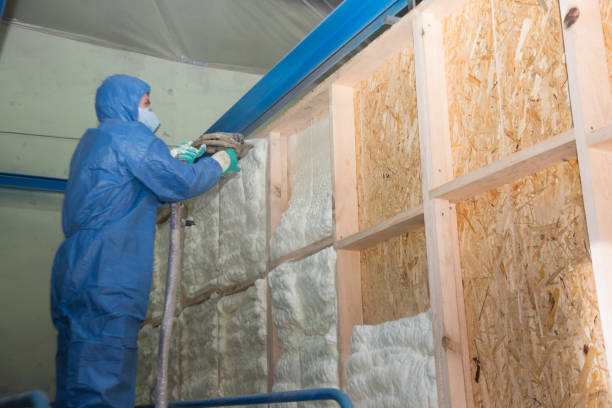 Best Local Insulation Services  in St Helen, MI