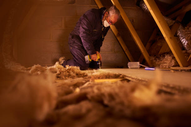 Best Insulation for New Construction  in St Helen, MI